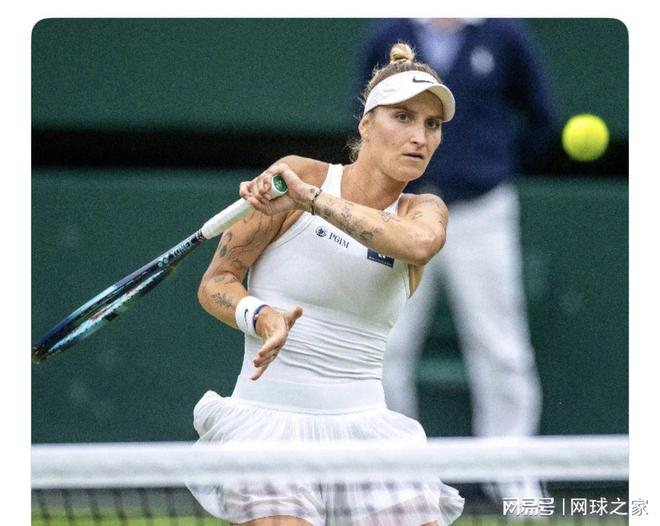 优化训练 优化训练