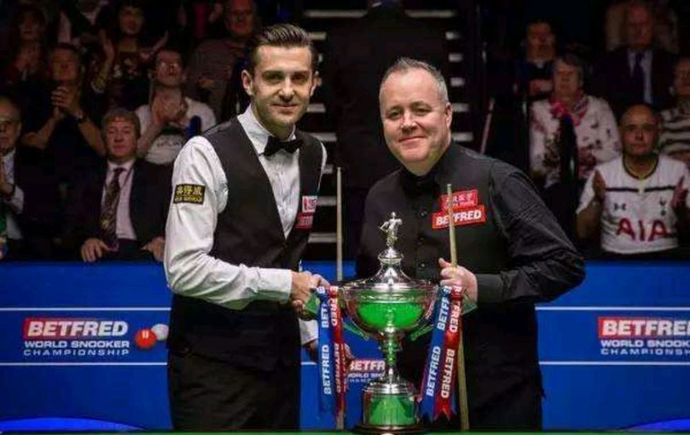 质不是单一 质不是单一